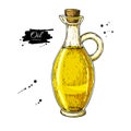 Oil bottle drawing. Vector glass pitcher with cork stopper. Hand drawn colorful jug