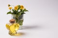 Oil bottle and flower vase white background Royalty Free Stock Photo