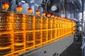 Oil in bottles. Industrial production of sunflower oil. Conveyor