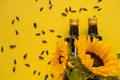 Oil bottles, scattered black sunflower seeds and sunflowers blooming on a bright yellow background.Organic natural farm Royalty Free Stock Photo