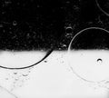 Oil bubbles abtract Royalty Free Stock Photo