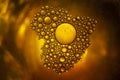 Oil bubbles heart shape macro photography Royalty Free Stock Photo