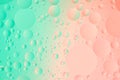 Oil bubbles on water macro photography abstract green and pink color gradient background Royalty Free Stock Photo