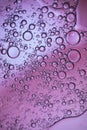 Oil bubbles in water . Yellow, red and purple colors. Royalty Free Stock Photo