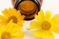 Oil from calendula flower Royalty Free Stock Photo