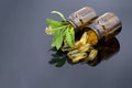 Oil in capsule, amber bottle and fresh herbs on dark background Royalty Free Stock Photo