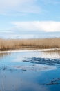 Oil containment boom at a lake after an oil spill Royalty Free Stock Photo