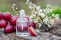 Oil essence and grape on wooden background. Aroma theraty. Relax and treatment setting Royalty Free Stock Photo