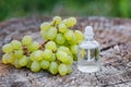 Oil essence and grape on wooden background. Aroma theraty. Relax and treatment setting Royalty Free Stock Photo