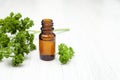 Oil with fresh parsley sprigs on white background Royalty Free Stock Photo