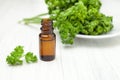 oil with fresh parsley sprigso n white background Royalty Free Stock Photo