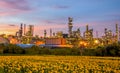 Oil and Gas Industrial,oil refinery, petroleum plant,petroleum Royalty Free Stock Photo