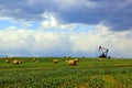 Oil Gas Petroleum Industry Pumpjack Alberta Canada