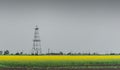 Oil and gas well rig, outlined rural canola field Royalty Free Stock Photo