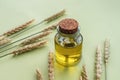 Oil in glass jar and ears of wheat on a light green background. Wheat germ oil. Top view Royalty Free Stock Photo