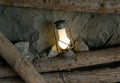 Oil lamp in the old mine Royalty Free Stock Photo