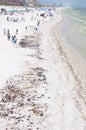 Oil on long stretch of Pensacola Beach Royalty Free Stock Photo