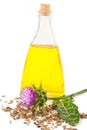 Oil of milk thistle Royalty Free Stock Photo