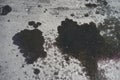 Oil Spilled In Parking Lot