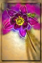 Columbine, Aquilegia or Granny bonnet. Bokeh, blur. Imitation of a picture. Oil paint. Rendring