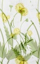 Oil paint classical abstract texture background.Random flower pattern background for multipurpose uses.Specially uses for ceramics