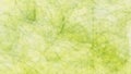 Oil paint classical abstract texture background .Random green colored pattern background for multi-purpose uses.Specially uses for