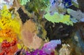 Oil paint on colorfull wooden palette Royalty Free Stock Photo