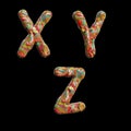 Oil paint multicolor splotchy alphabet - letters X-Z Royalty Free Stock Photo