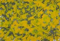 Oil painting abstrac texture. oil painting floral for background. Modern art paintings chaotic abstarct with yellow gray color.