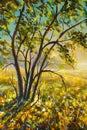 Oil painting with acrylic Beautiful tree on sunny summer spring meadow in morning first rays of sun sunset Royalty Free Stock Photo