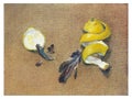 Oil painting. The apotheosis of food. Scraps. Bird Feathers and Lemon Peel