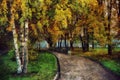 Oil painting. Autumn road through the Park