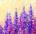 Oil painting. Bright Lupine Flowers Royalty Free Stock Photo