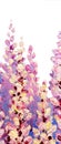 Oil painting. Bright wisteria flowers Royalty Free Stock Photo