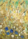 Oil painting on canvas. Cornflowers, chamomile and buttercup. Royalty Free Stock Photo