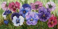 Oil painting on canvas. Flowers - Pansies