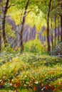 Oil painting on canvas modern impressionism Sunny forest landscape Royalty Free Stock Photo