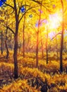 Oil painting canvas Sunset Or Sunrise In autumn Forest Landscape. Sun Sunshine Sunlight And Rays Through autumn Woods Trees In war Royalty Free Stock Photo