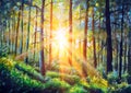 Oil painting canvas Sunset Or Sunrise In Forest Landscape. Sun Sunshine With Natural Sunlight And Sun Rays Through Woods Trees In Royalty Free Stock Photo