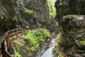Oil painting canvas of Wolfsklamm Gorge in Stans tirol Austria. Landscape with wild stream