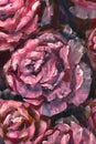 Oil painting close-up flower. Big red violet flowers rose peony closeup macro on canvas. Modern Impressionism. Royalty Free Stock Photo