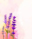 Oil painting closeup lavender flowers Royalty Free Stock Photo