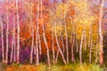 Oil painting colorful autumn landscape background