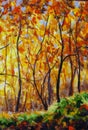 Oil painting landscape - colorful autumn forest Royalty Free Stock Photo