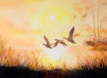 Oil painting-Cranes at sunset, art work