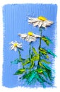 Oil painting Daisy flowers