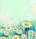 Oil painting daisy flowers in field
