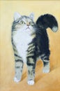 Oil painting - drawing of a cat, colorful picture , abstract drawing