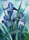 Oil painting iris flowers Royalty Free Stock Photo