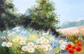 Oil painting landscape - meadow of daisies Royalty Free Stock Photo